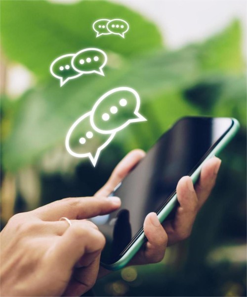 Schedule your carpet cleaning