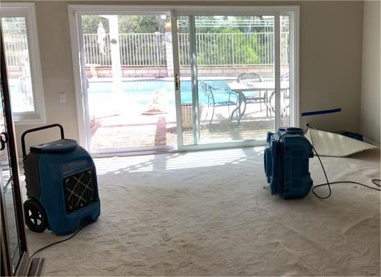 Water damage carpet service